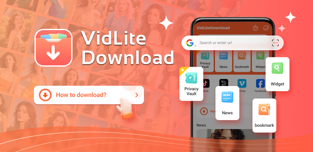 VidLiteDownload Interface